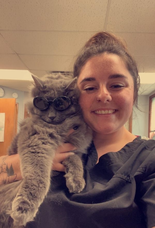 Vet staff holding a cat