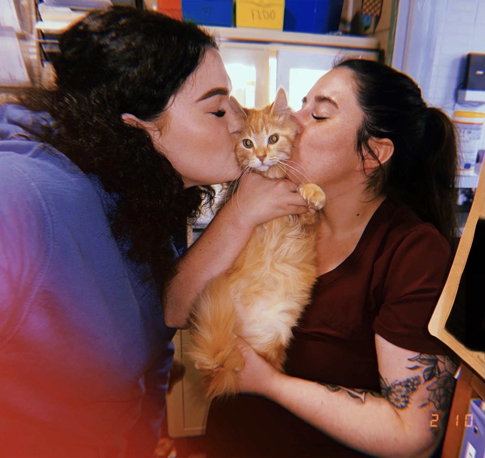 Two vet staff kissing a cat